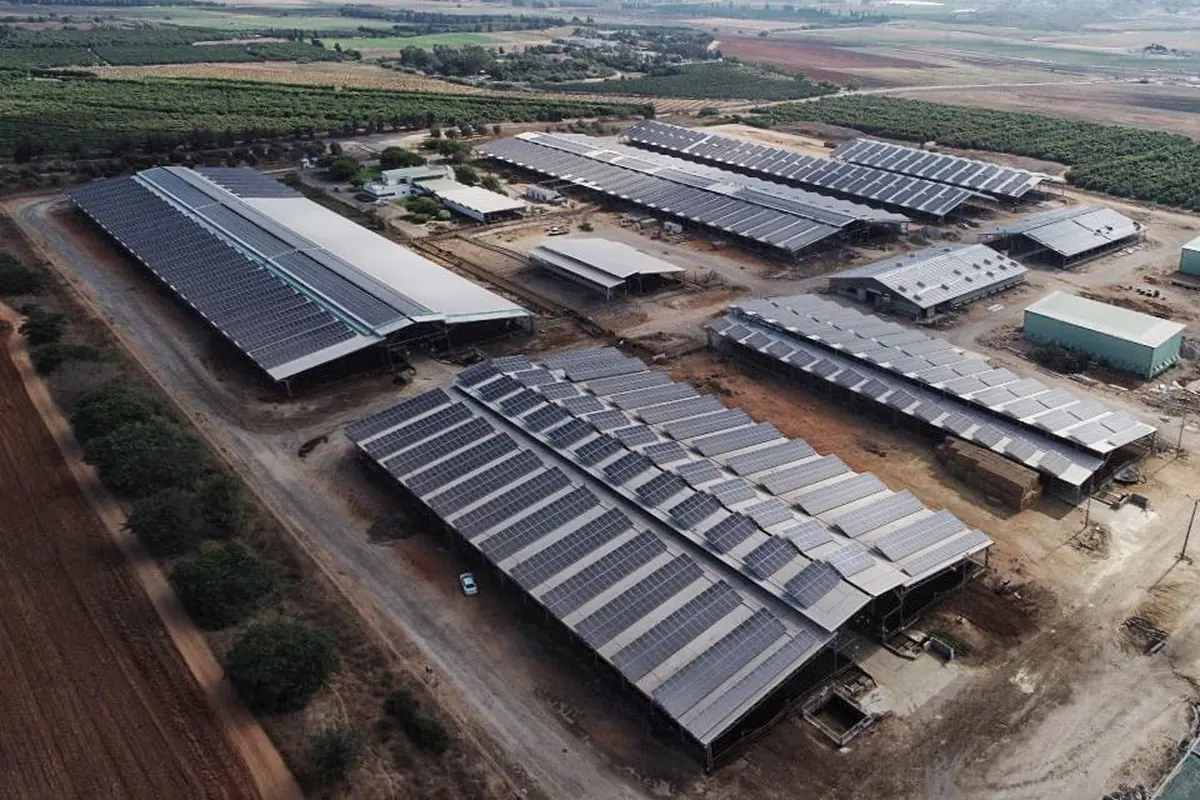 Gruppo di capannoni agricoli con pannelli fotovoltaici