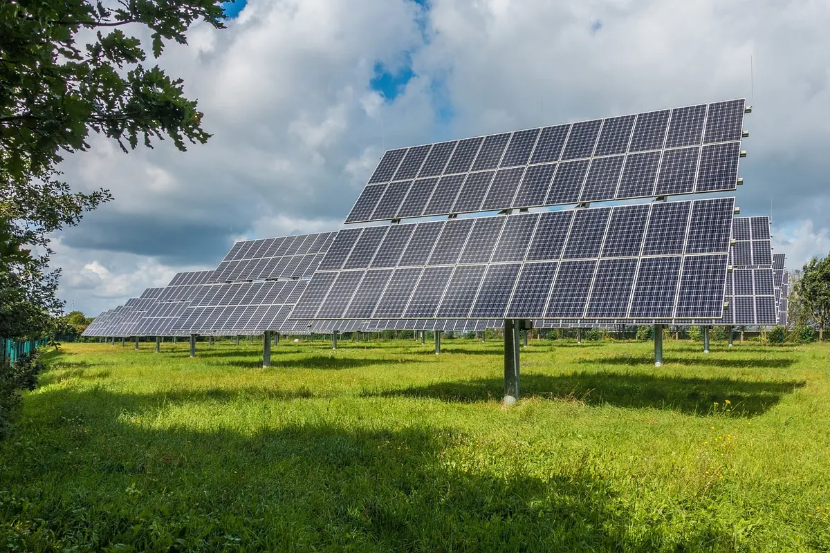 File di pannelli fotovoltaici montati su strutture in un prato
